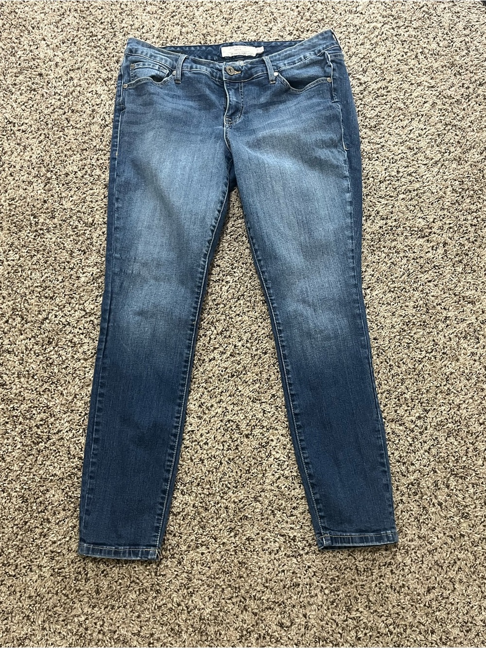 torrid Skinny Jeans in Medium Blue Wash